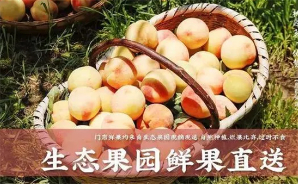 桃园茗奶茶加盟